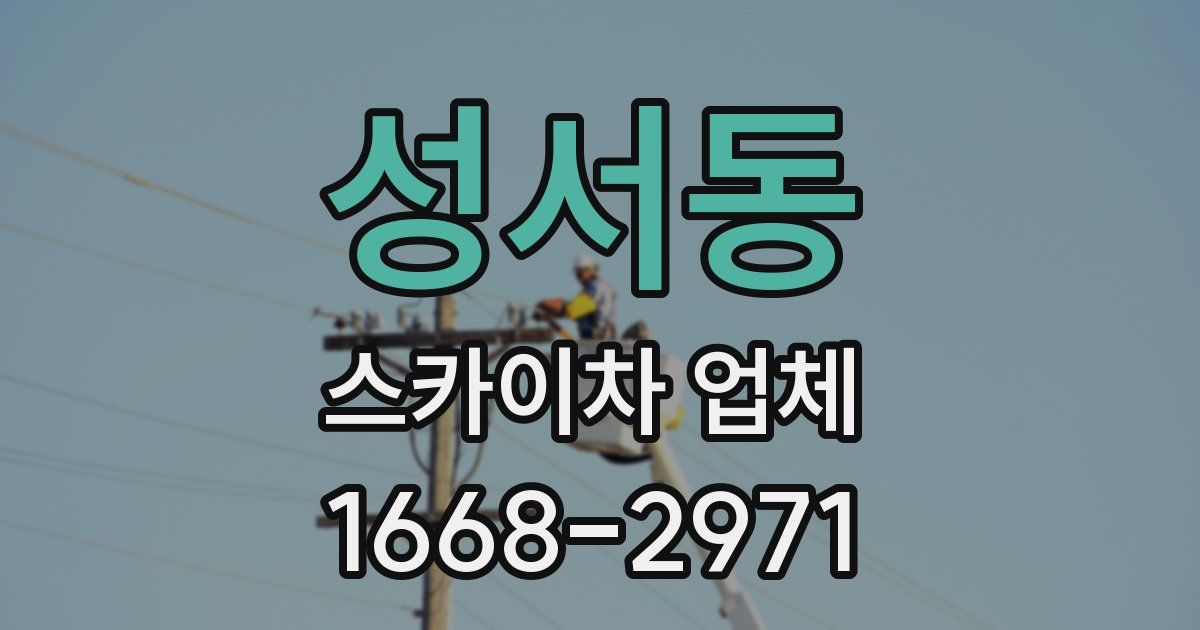 성서동 스카이차 업체