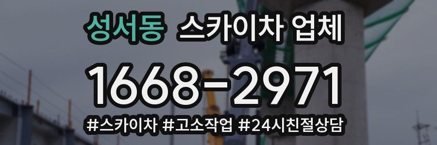 성서동 스카이차 업체