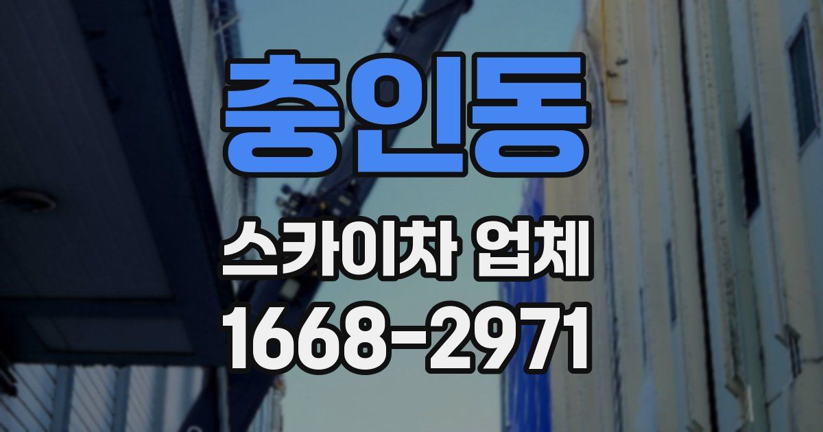 충인동 스카이차 업체