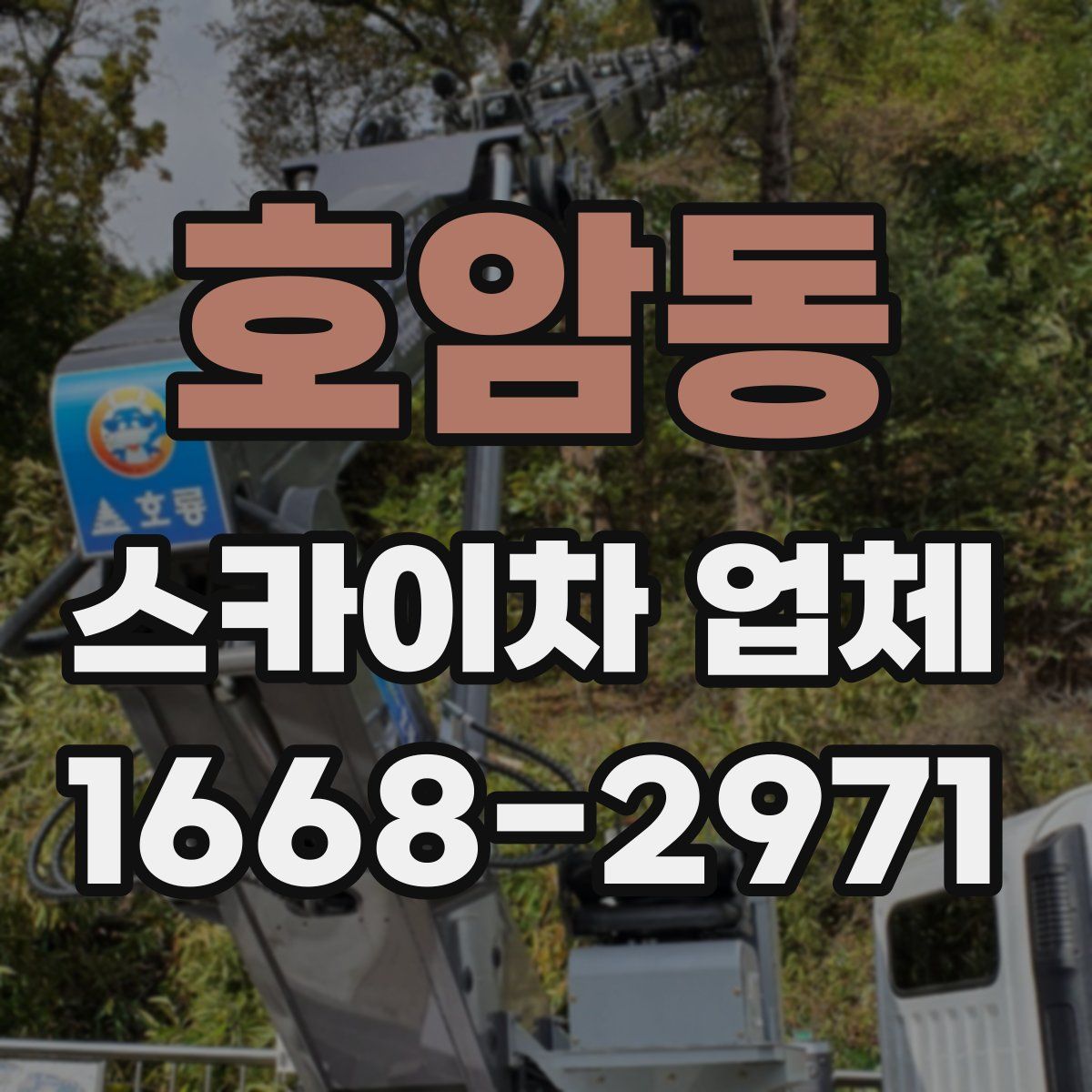 호암동 스카이차 업체