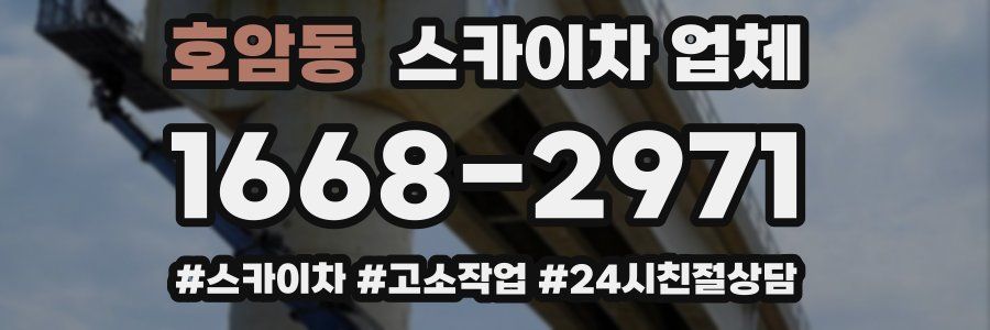 호암동 스카이차 업체