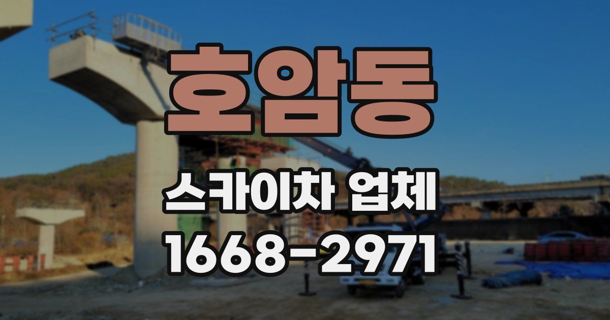 호암동 스카이차 업체
