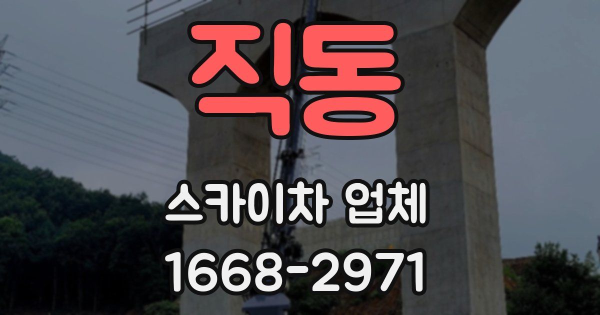 직동 스카이차 업체