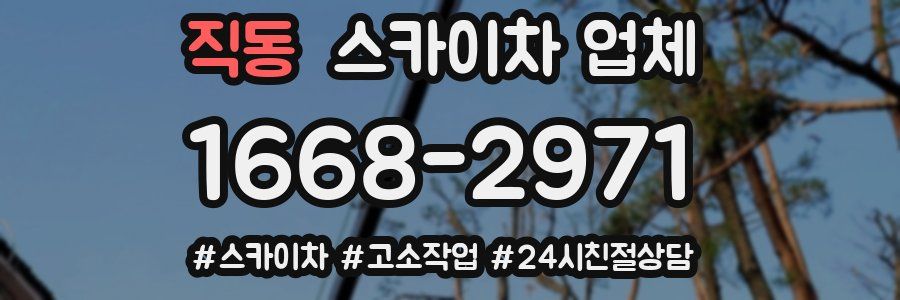 직동 스카이차 업체