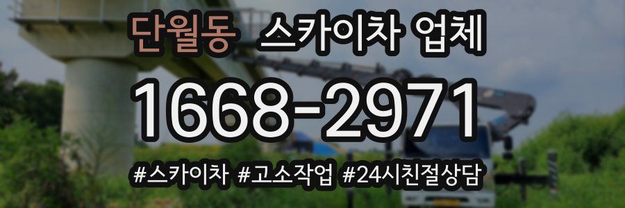 단월동 스카이차 업체