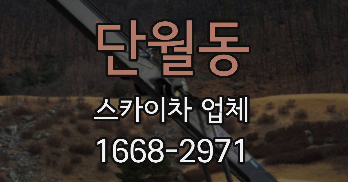 단월동 스카이차 업체