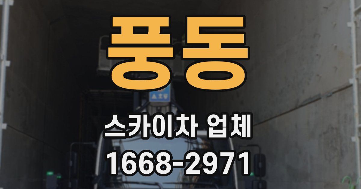 풍동 스카이차 업체