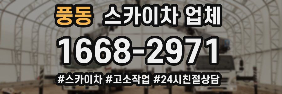 풍동 스카이차 업체
