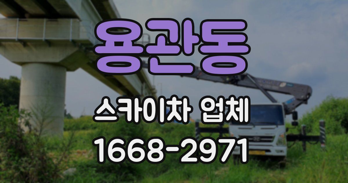 용관동 스카이차 업체