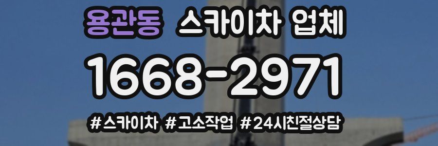 용관동 스카이차 업체