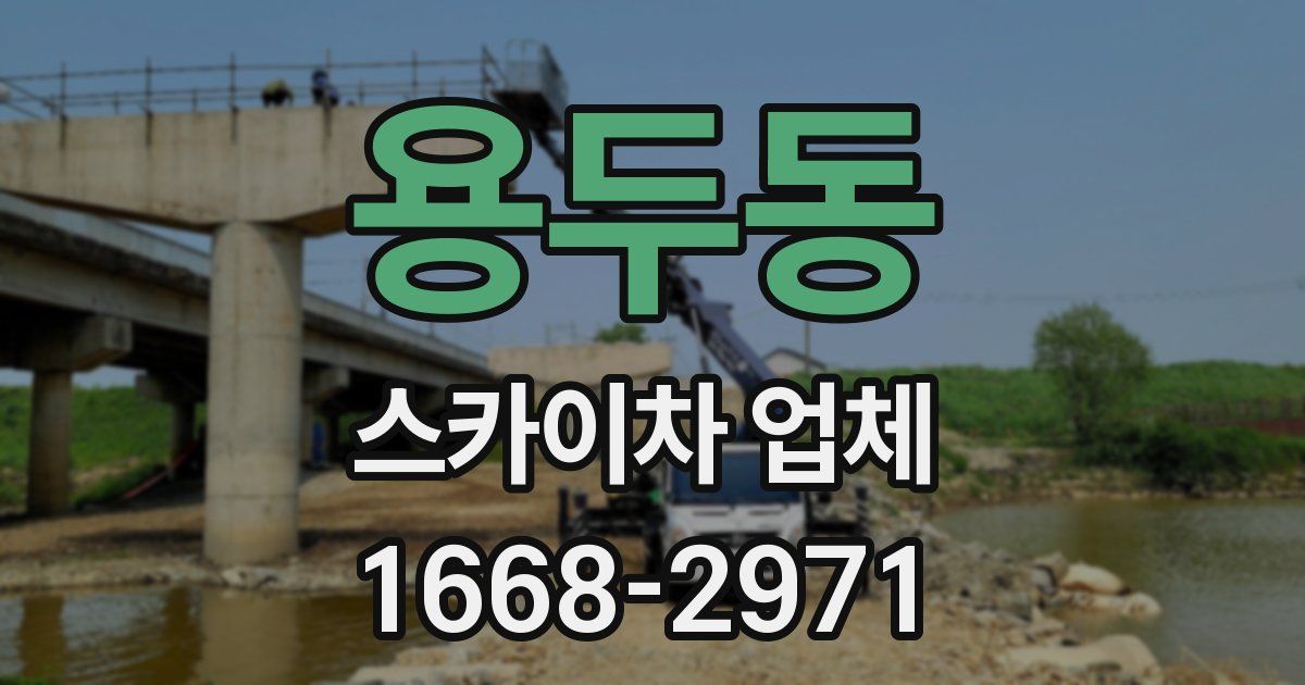 용두동 스카이차 업체