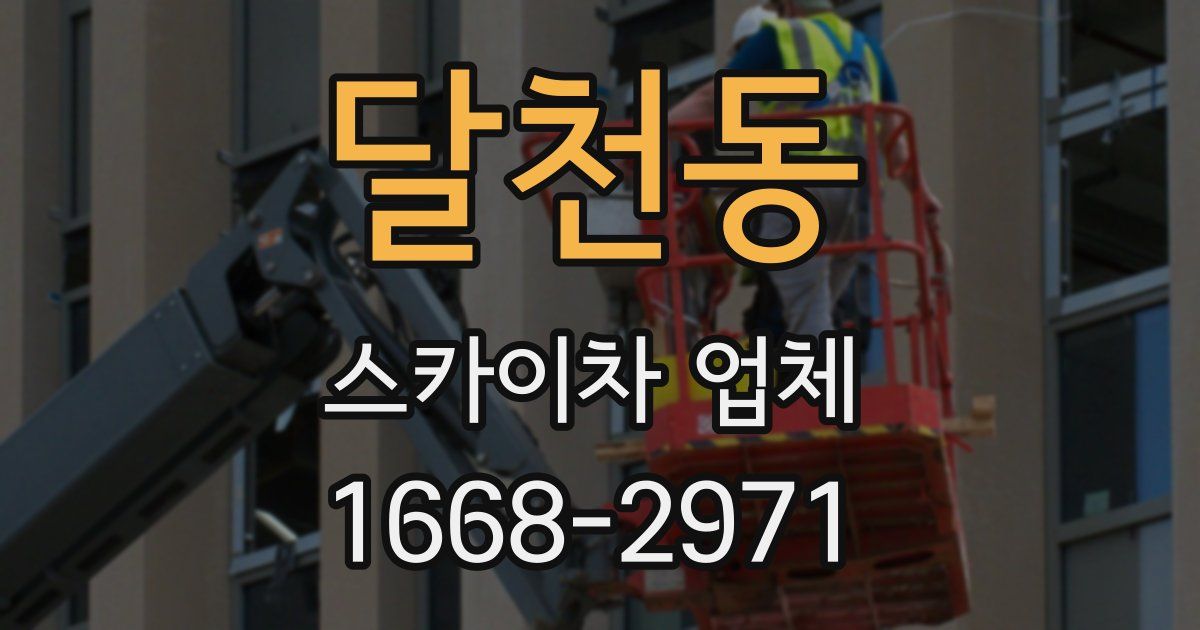 달천동 스카이차 업체