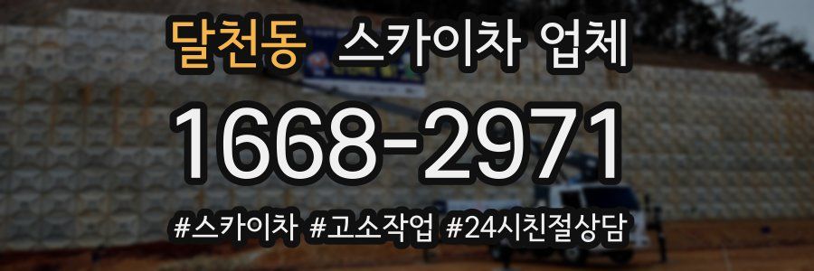 달천동 스카이차 업체