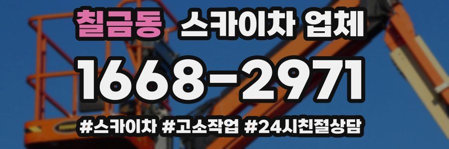 칠금동 스카이차 업체