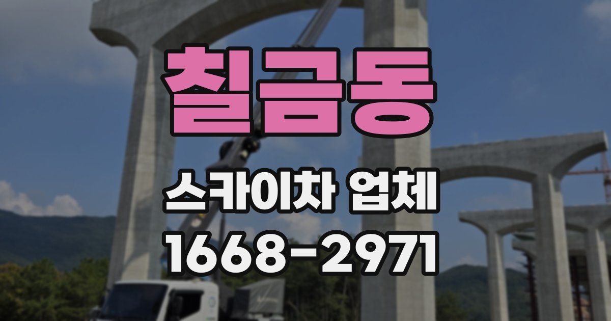 칠금동 스카이차 업체
