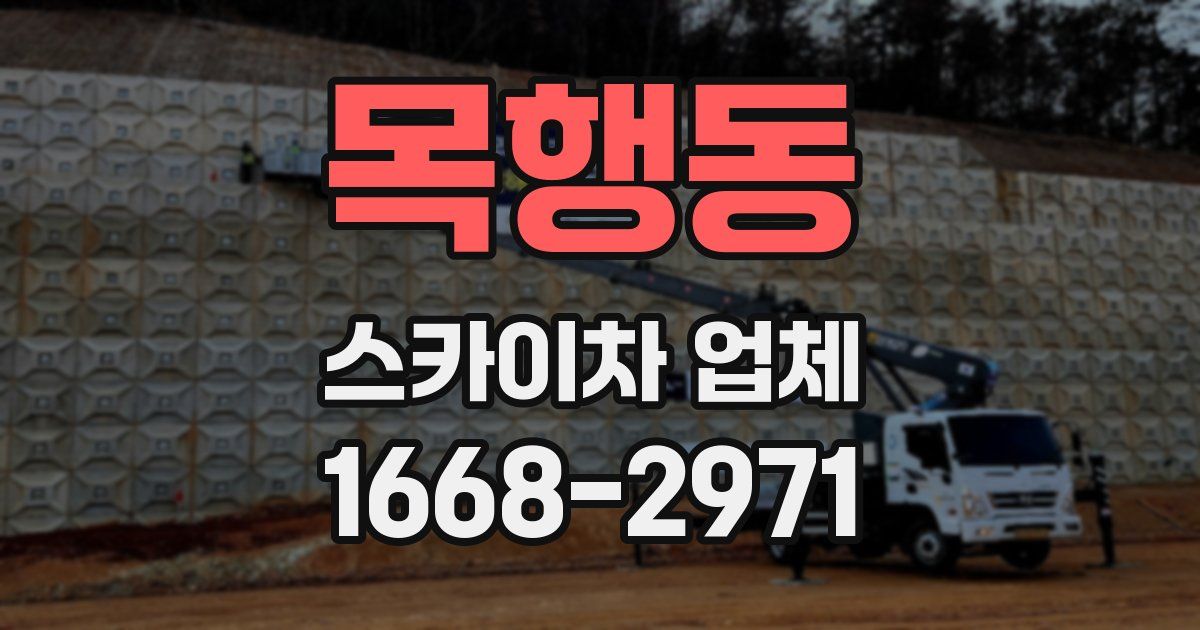 목행동 스카이차 업체