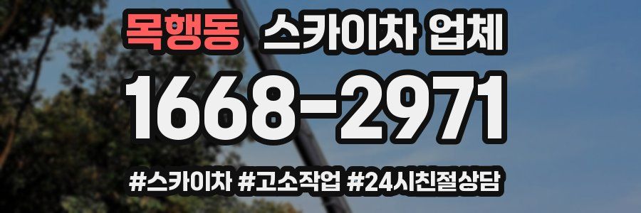 목행동 스카이차 업체