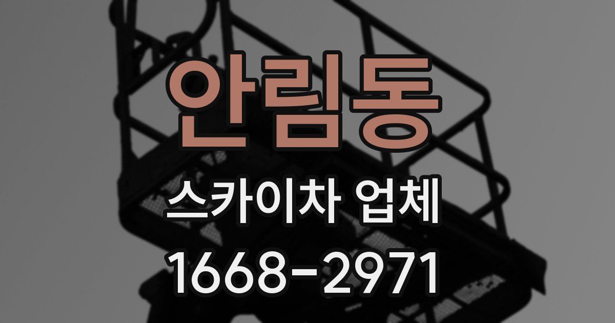 안림동 스카이차 업체