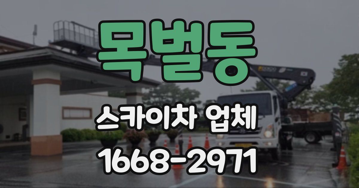 목벌동 스카이차 업체