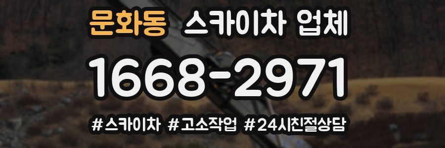 문화동 스카이차 업체