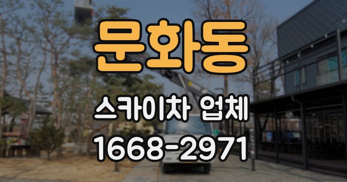 문화동 스카이차 업체