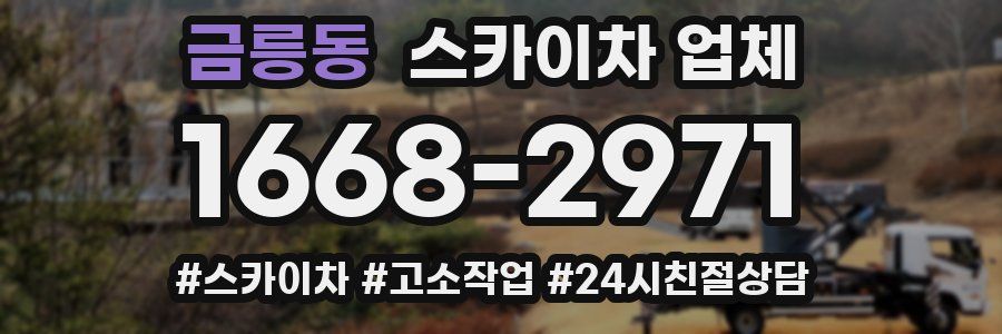 금릉동 스카이차 업체