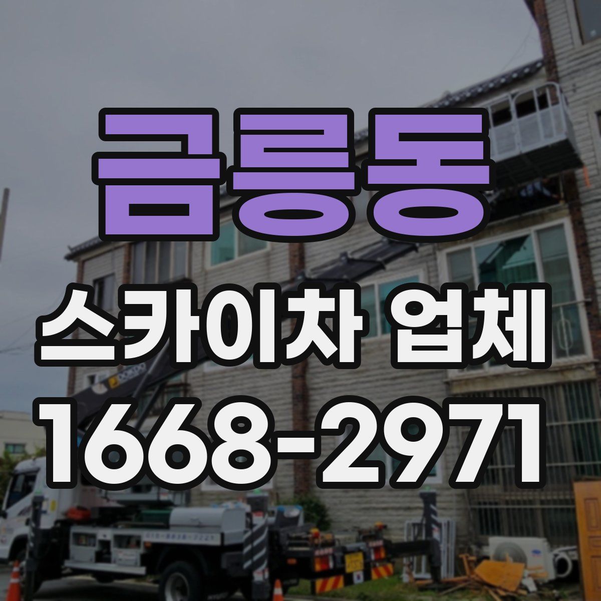 금릉동 스카이차 업체