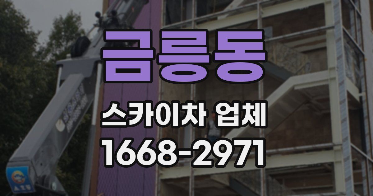 금릉동 스카이차 업체
