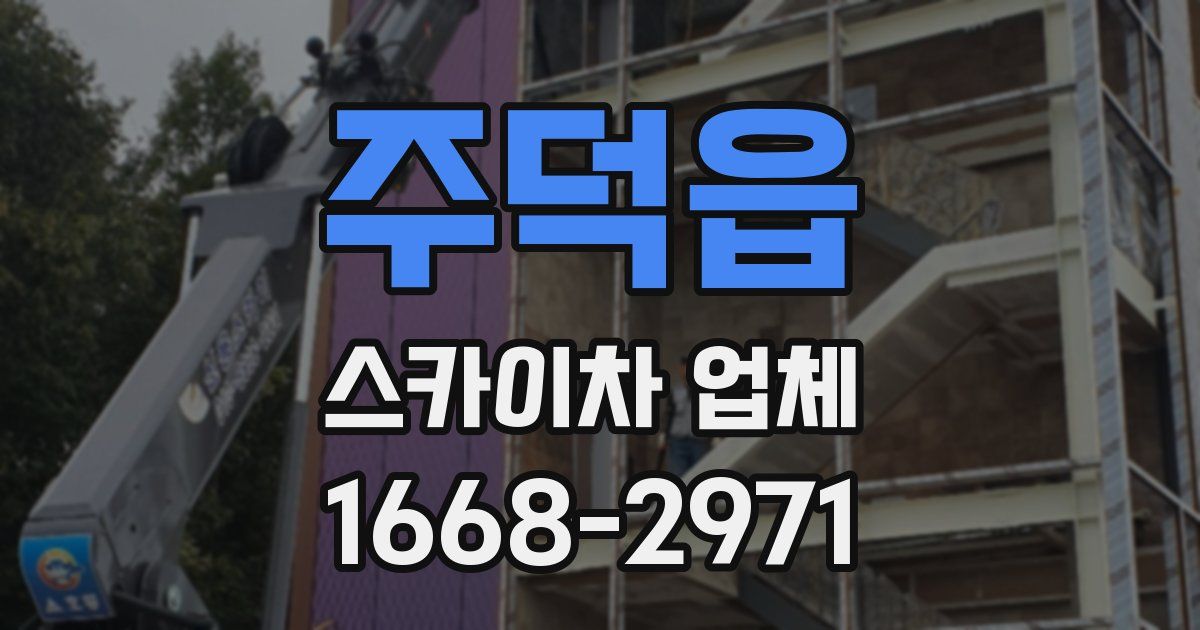 주덕읍 스카이차 업체