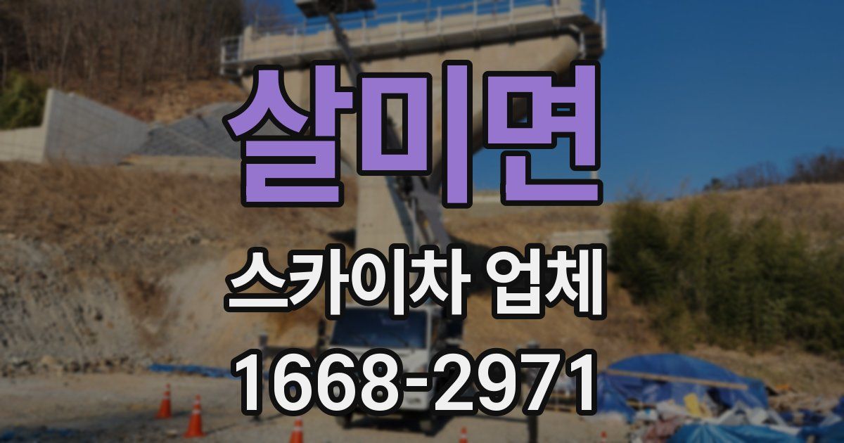 살미면 스카이차 업체