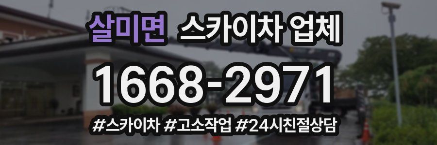 살미면 스카이차 업체