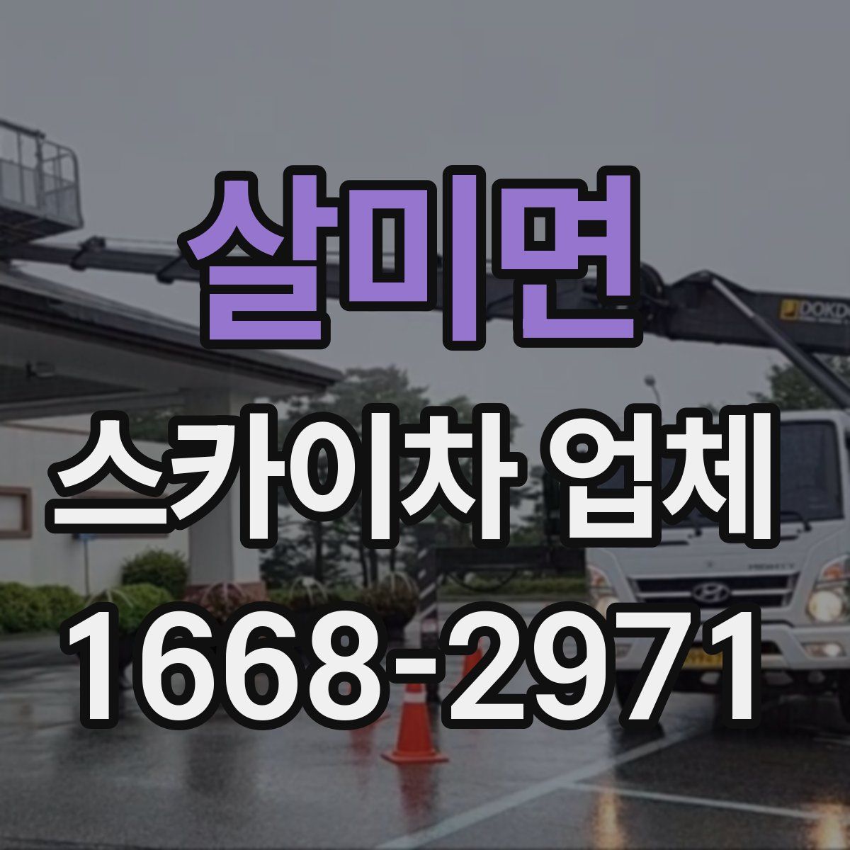 살미면 스카이차 업체