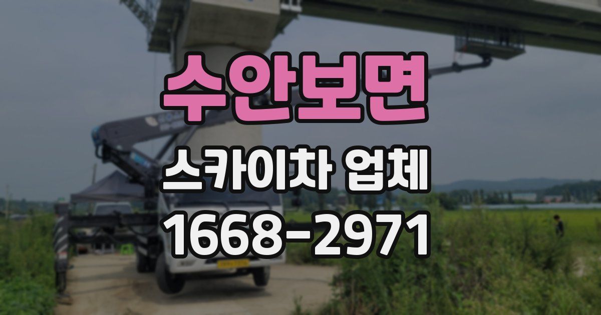 수안보면 스카이차 업체