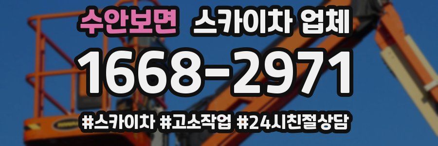 수안보면 스카이차 업체