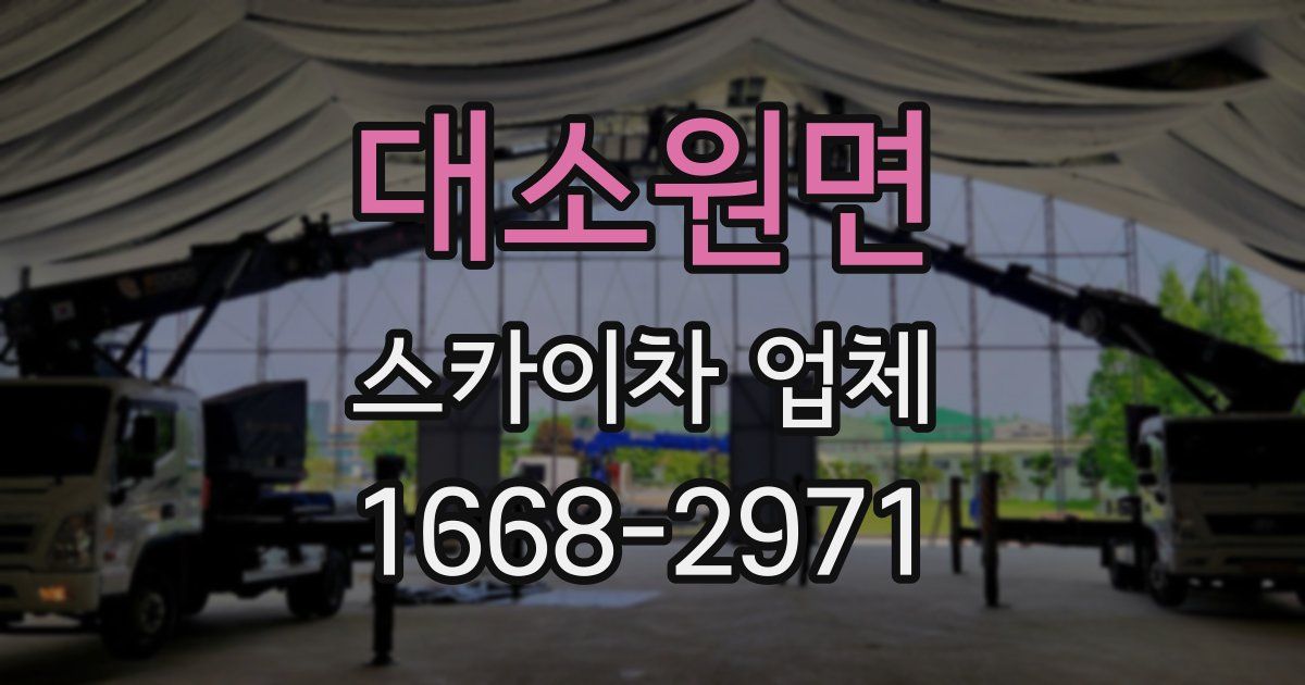 대소원면 스카이차 업체