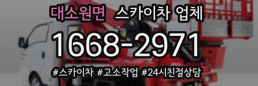 대소원면 스카이차 업체