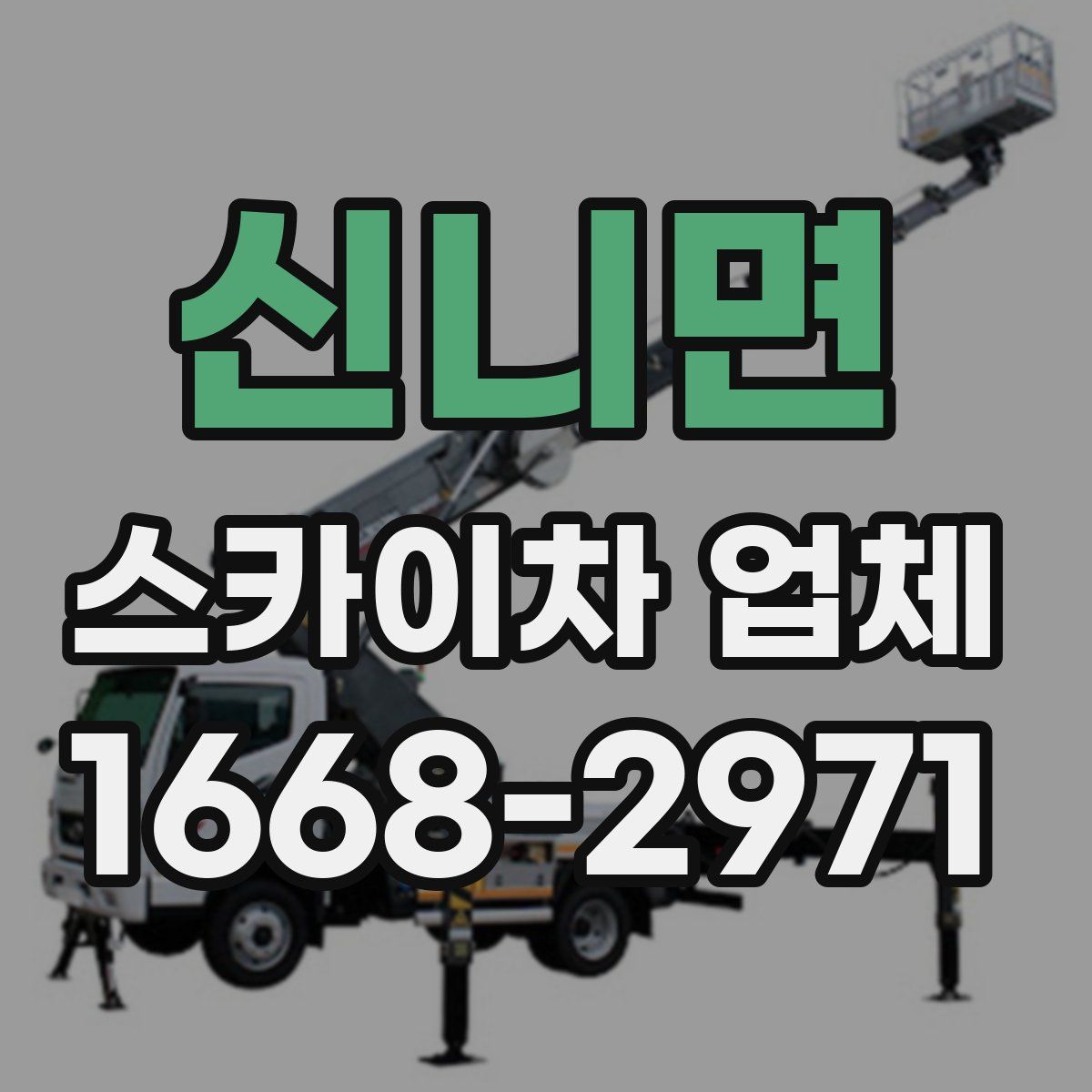 신니면 스카이차 업체