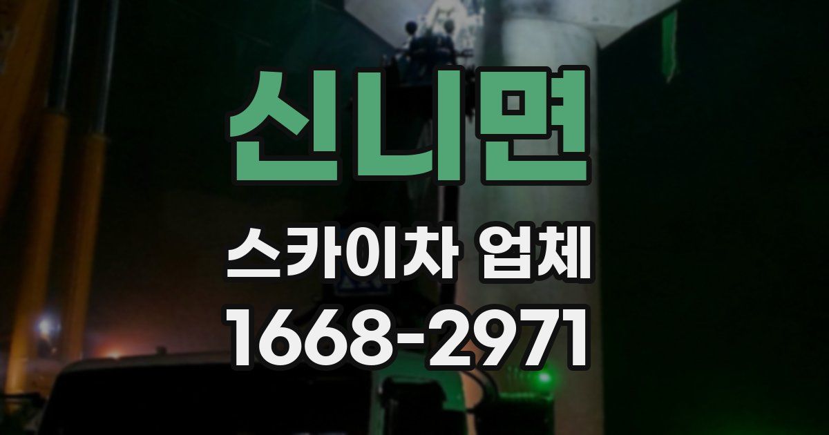 신니면 스카이차 업체
