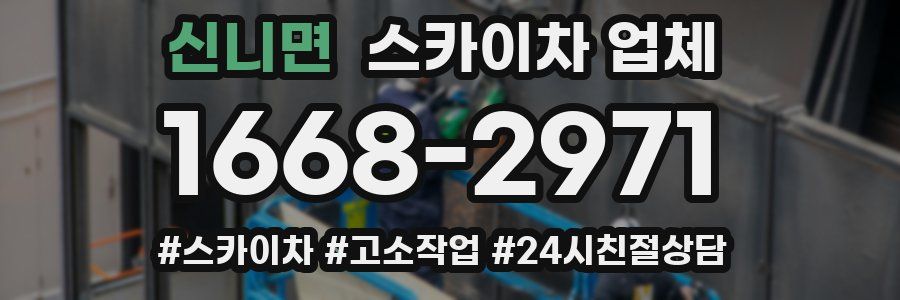 신니면 스카이차 업체