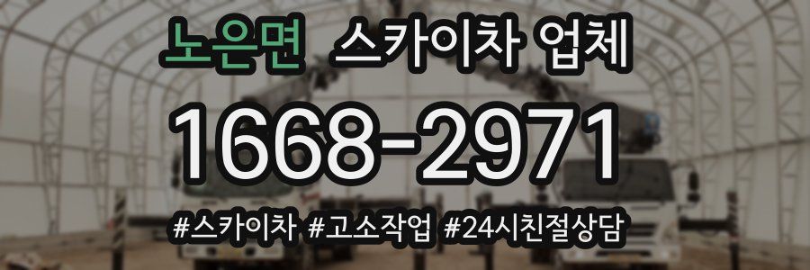 노은면 스카이차 업체