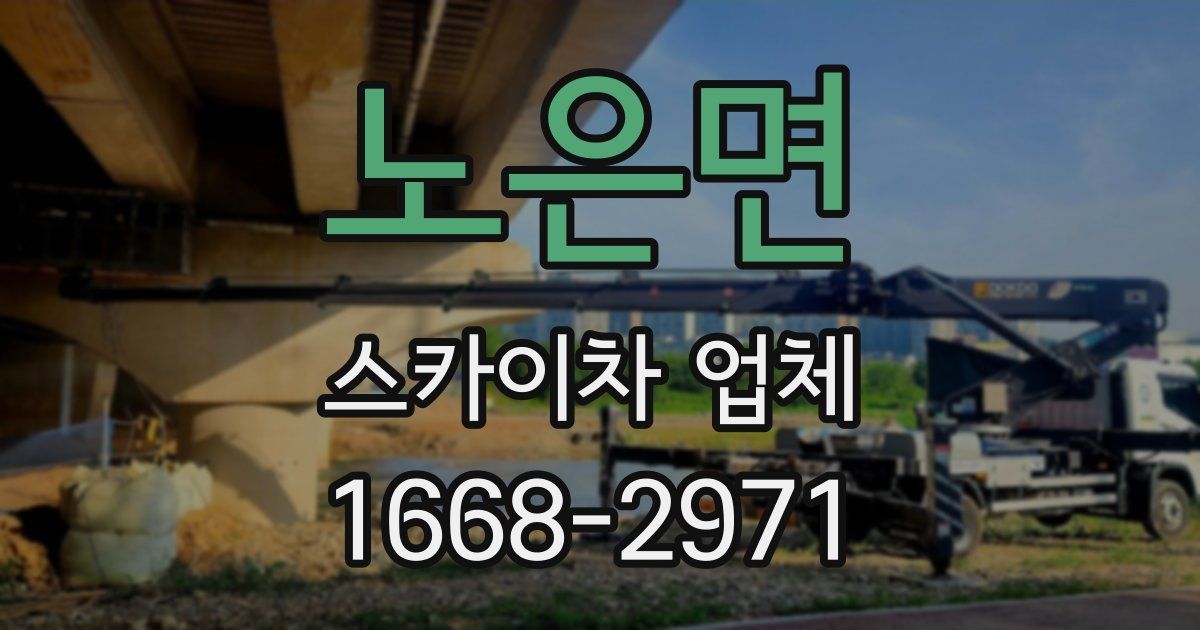 노은면 스카이차 업체