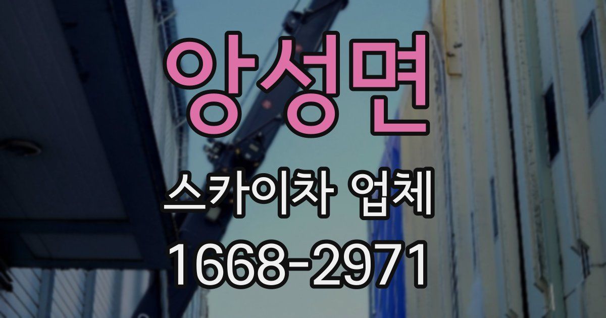 앙성면 스카이차 업체