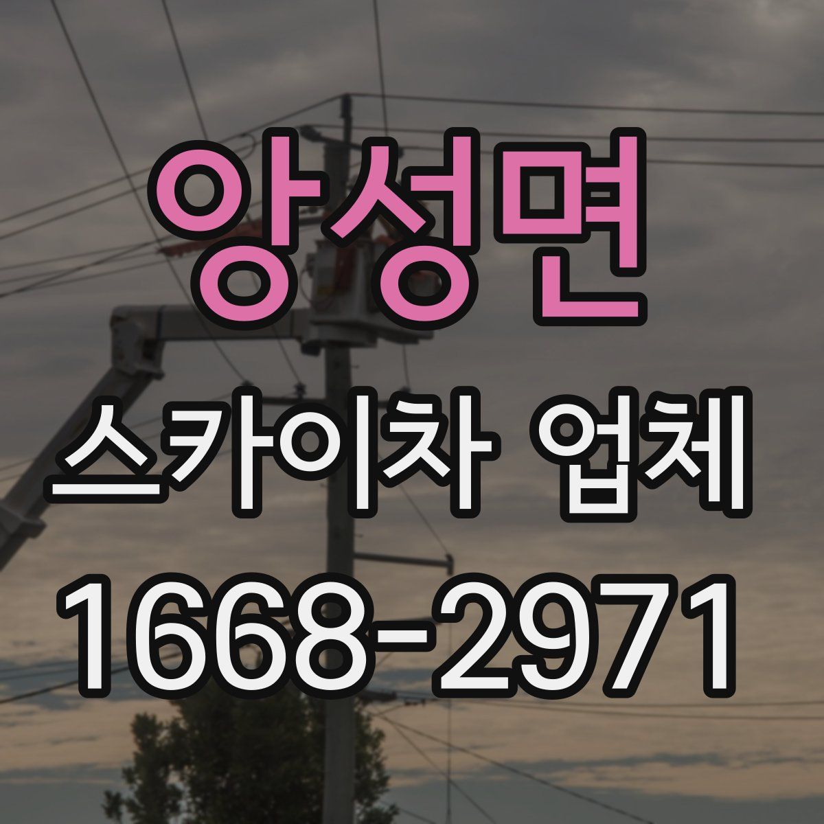 앙성면 스카이차 업체