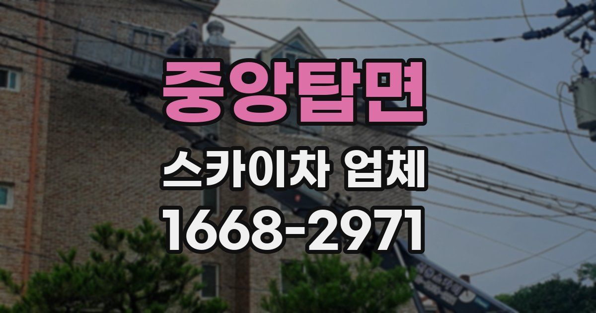 중앙탑면 스카이차 업체