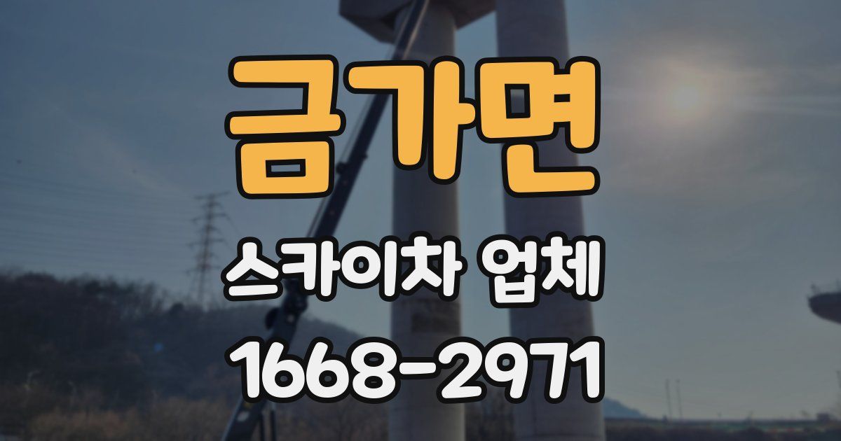 금가면 스카이차 업체