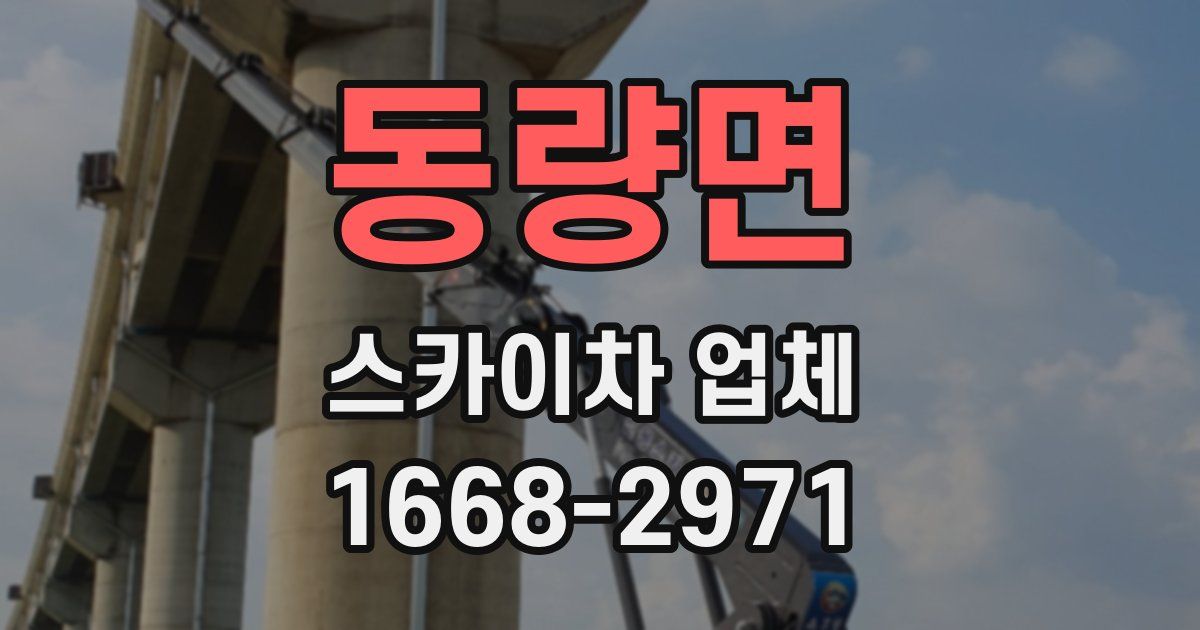 동량면 스카이차 업체