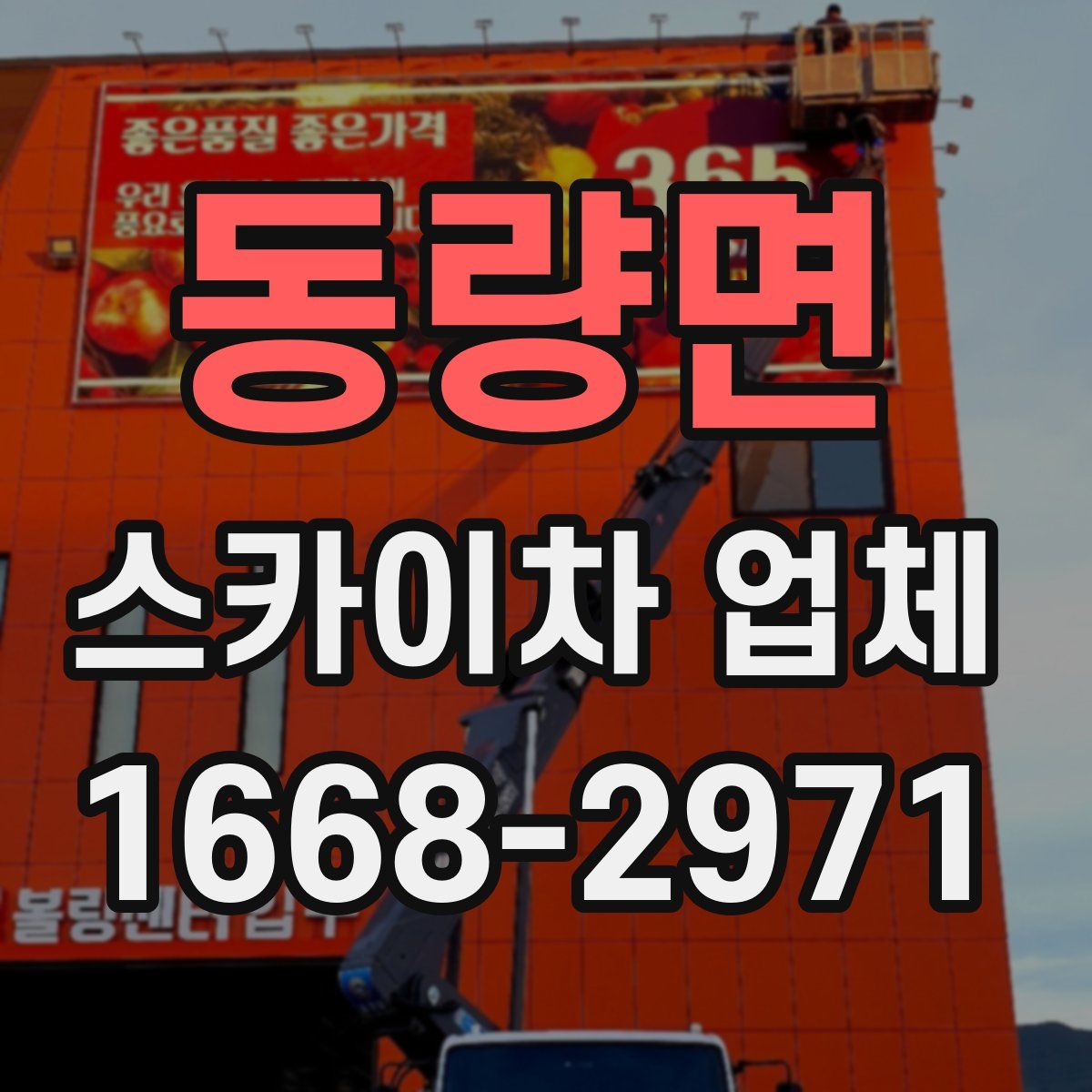동량면 스카이차 업체