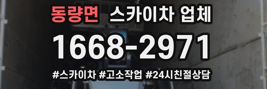 동량면 스카이차 업체