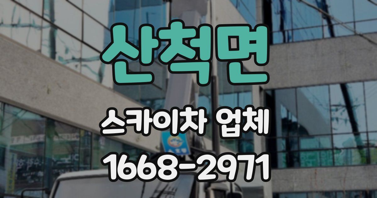 산척면 스카이차 업체