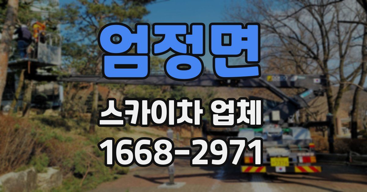 엄정면 스카이차 업체